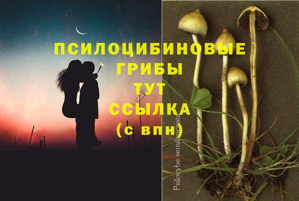 МДМА Богданович