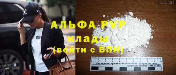 apvp Богородицк