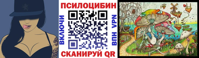 где купить наркоту  Балабаново  Галлюциногенные грибы Psilocybe 