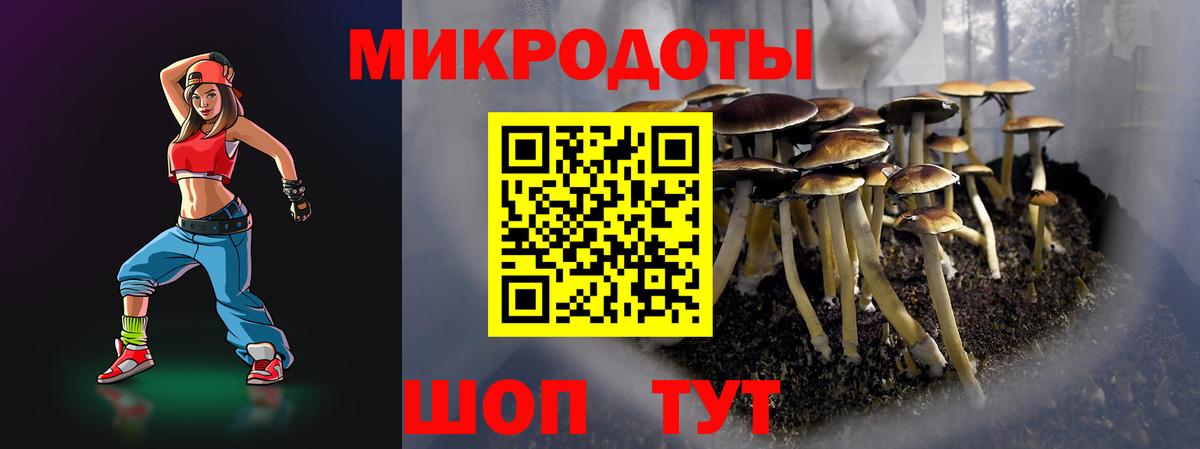 Псилоцибиновые грибы Psilocybe  купить   Вход с VPN  Балабаново  Псилоцибиновые грибы мицелий 